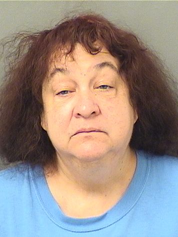  DEBRA JEAN HORNFELDT Resultados de la busqueda para Palm Beach County Florida para  DEBRA JEAN HORNFELDT