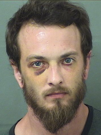  JOEL DAVID SIEGRIST Results from Palm Beach County Florida for  JOEL DAVID SIEGRIST