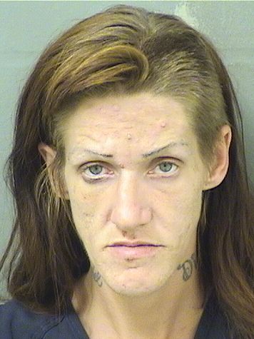  AUDREY MARIE MCINROY Results from Palm Beach County Florida for  AUDREY MARIE MCINROY