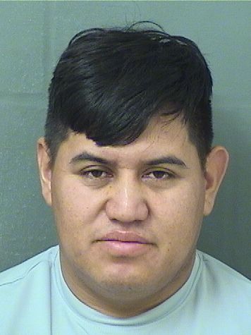  LUIS ARNULFO BARRIOSGARCIA Results from Palm Beach County Florida for  LUIS ARNULFO BARRIOSGARCIA