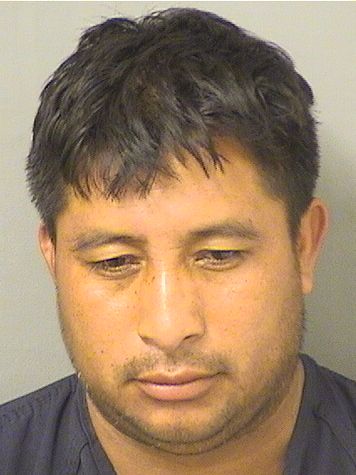  ENRIQUE AGUSTINNICOLAS Results from Palm Beach County Florida for  ENRIQUE AGUSTINNICOLAS