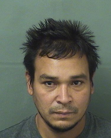  RICARDO E ERAZOMAYEN Results from Palm Beach County Florida for  RICARDO E ERAZOMAYEN