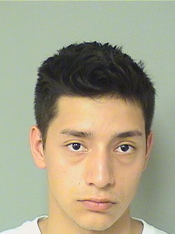  LARRY STEVAN DAVILA Results from Palm Beach County Florida for  LARRY STEVAN DAVILA