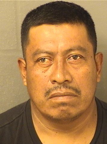  MARCEDONIO PEREZFELIPE Results from Palm Beach County Florida for  MARCEDONIO PEREZFELIPE