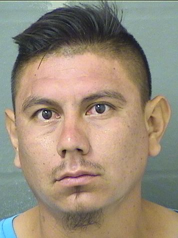  CRESPIN CASARRUBIAS Resultados de la busqueda para Palm Beach County Florida para  CRESPIN CASARRUBIAS