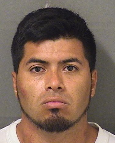  EUDALYS VILLATOROCASTILLO Resultados de la busqueda para Palm Beach County Florida para  EUDALYS VILLATOROCASTILLO