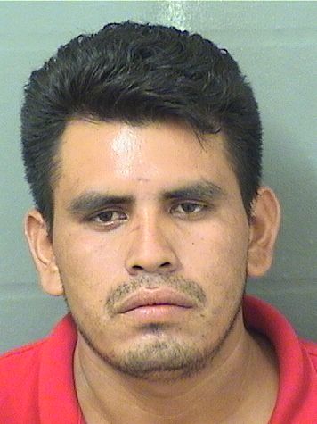 RAFAEL CASTILLO Results from Palm Beach County Florida for RAFAEL CASTILLO RAFAEL CASTILLO Results from Palm Beach County Florida for RAFAEL CASTILLO