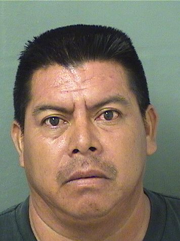  MIGUEL DEMIGUELTOMAS Photo For  MIGUEL DEMIGUELTOMAS