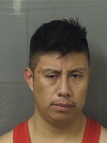  ALVARO FRANCISCO LOPEZDIAZ Results from Palm Beach County Florida for  ALVARO FRANCISCO LOPEZDIAZ