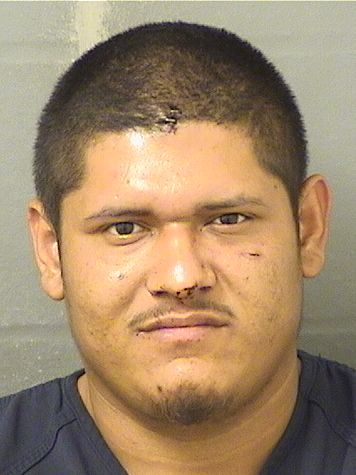  JONATHAN ACUNA Results from Palm Beach County Florida for  JONATHAN ACUNA