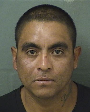  LUIS R SERRANO Results from Palm Beach County Florida for  LUIS R SERRANO