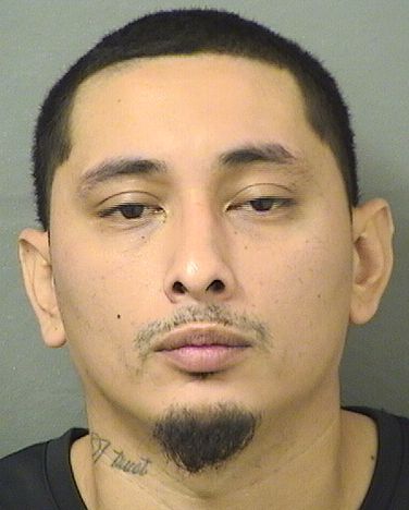  FREDDY G RAMIREZCASTILLO Results from Palm Beach County Florida for  FREDDY G RAMIREZCASTILLO