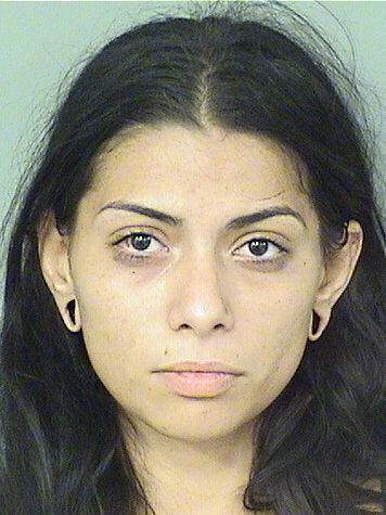  ALEXIS N RIVERA Results from Palm Beach County Florida for  ALEXIS N RIVERA