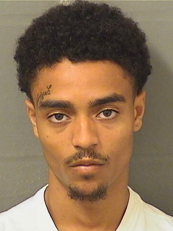  NARCISSE T FERNANDEZ Results from Palm Beach County Florida for  NARCISSE T FERNANDEZ