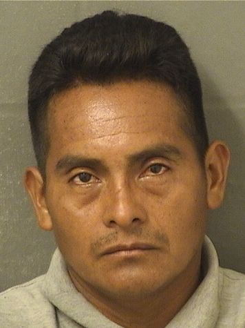  NICOLAS HERNANDEZVASQUEZ Results from Palm Beach County Florida for  NICOLAS HERNANDEZVASQUEZ