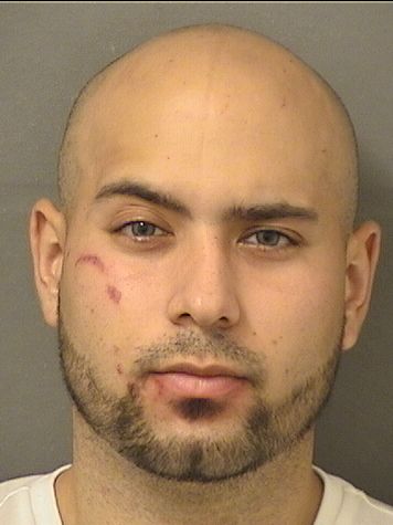  CARLOS ANDRESS CALLE Results from Palm Beach County Florida for  CARLOS ANDRESS CALLE