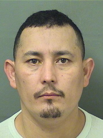  JOSE J LOPEZVARELA Results from Palm Beach County Florida for  JOSE J LOPEZVARELA