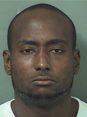  SHANNON LOURELL HAYNES Photo For  SHANNON LOURELL HAYNES