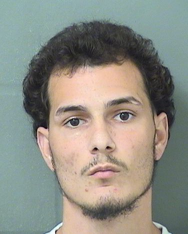  CHRISTOPHER J ZEOLI Results from Palm Beach County Florida for  CHRISTOPHER J ZEOLI