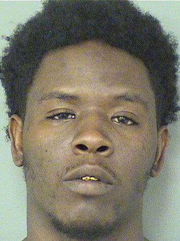  LEWIS  Jr ROWLAND Results from Palm Beach County Florida for  LEWIS  Jr ROWLAND