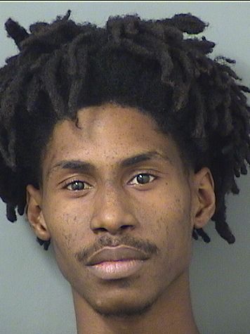  DANDRE ALEXANDER ANDREWS Results from Palm Beach County Florida for  DANDRE ALEXANDER ANDREWS