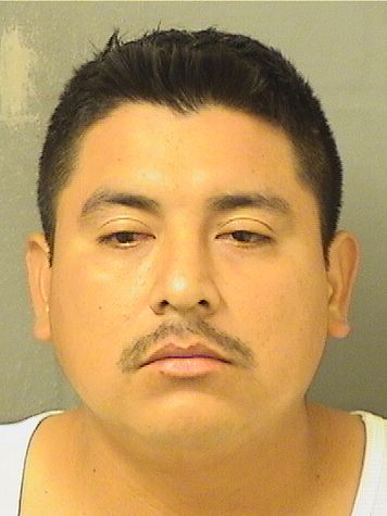  WILDER GEOVANNI PEREZLIMONES Resultados de la busqueda para Palm Beach County Florida para  WILDER GEOVANNI PEREZLIMONES