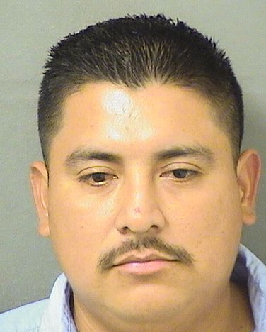  WILDER G PEREZLIMONES Results from Palm Beach County Florida for  WILDER G PEREZLIMONES