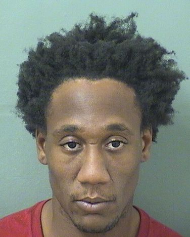  STRISTAN E WILLIAMS Results from Palm Beach County Florida for  STRISTAN E WILLIAMS