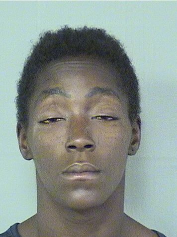  JAZZMINE BRITTANY ALEXANDER Resultados de la busqueda para Palm Beach County Florida para  JAZZMINE BRITTANY ALEXANDER