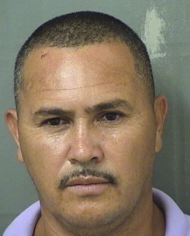  HENRY Y MATUTE Results from Palm Beach County Florida for  HENRY Y MATUTE