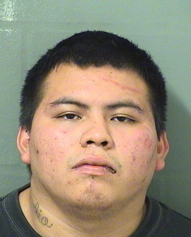  HENREY ANTHONY PASCUALPEDRO Results from Palm Beach County Florida for  HENREY ANTHONY PASCUALPEDRO