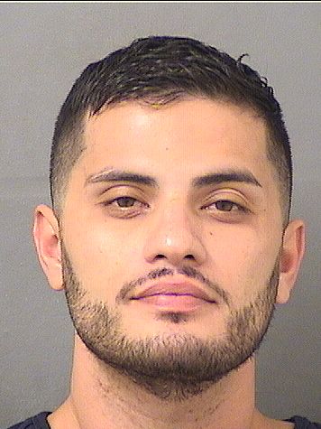  ANTHONY MICHAEL LARA Results from Palm Beach County Florida for  ANTHONY MICHAEL LARA