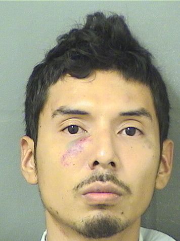  LUIS MIGUEL HERNANDEZ CHOW Results from Palm Beach County Florida for  LUIS MIGUEL HERNANDEZ CHOW