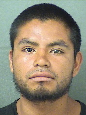  PASCUAL GUARCHAJTAHAY Results from Palm Beach County Florida for  PASCUAL GUARCHAJTAHAY