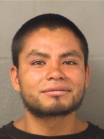  PASCUAL GUARCHAJTAHAY Results from Palm Beach County Florida for  PASCUAL GUARCHAJTAHAY