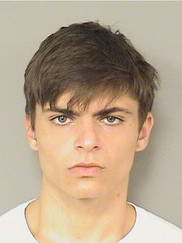  MICHAEL J VULPIS Photo