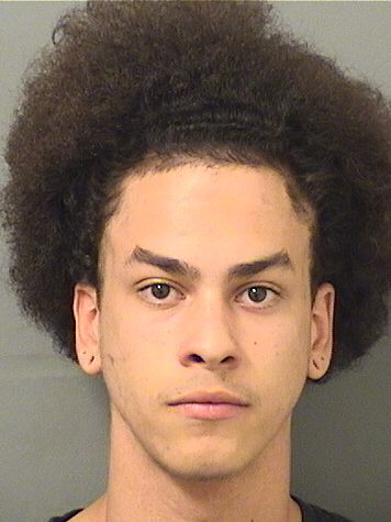  ANTHONY INFANTE Results from Palm Beach County Florida for  ANTHONY INFANTE