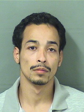  ROBERT LOUIS HERNANDEZ Results from Palm Beach County Florida for  ROBERT LOUIS HERNANDEZ