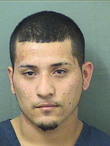  ALEJANDRO AGUIRRE Results from Palm Beach County Florida for  ALEJANDRO AGUIRRE