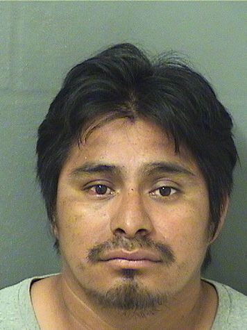 JUAN TOMAS Results from Palm Beach County Florida for  JUAN TOMAS  JUAN TOMAS Results from Palm Beach County Florida for  JUAN TOMAS