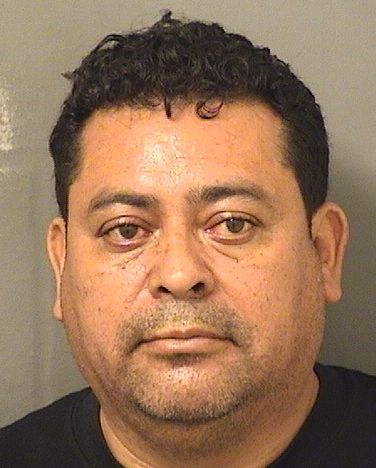  SAMUEL MALDONADO Results from Palm Beach County Florida for  SAMUEL MALDONADO