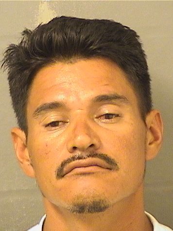  NELSON ENRIQUE VELASQUEZSARAVIA Photo For  NELSON ENRIQUE VELASQUEZSARAVIA