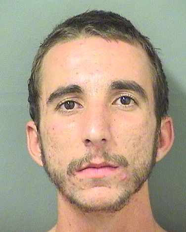  NICHOLAS ANDREW MUSCARDIN Results from Palm Beach County Florida for  NICHOLAS ANDREW MUSCARDIN