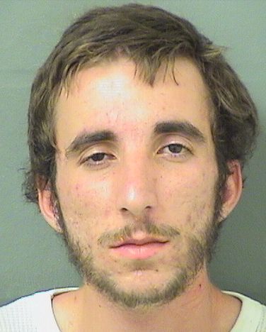  NICHOLAS ANDREW MUSCARDIN Results from Palm Beach County Florida for  NICHOLAS ANDREW MUSCARDIN
