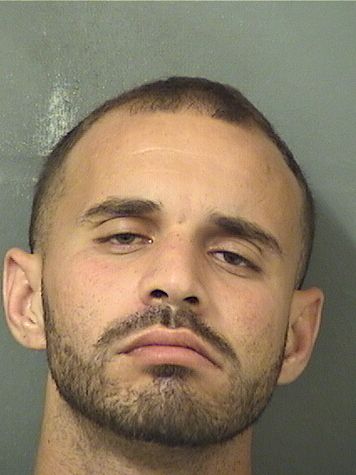  WILLIAM JASON LOPEZ Results from Palm Beach County Florida for  WILLIAM JASON LOPEZ