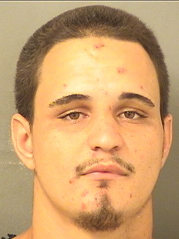  SHANE DIMAURO Resultados de la busqueda para Palm Beach County Florida para  SHANE DIMAURO