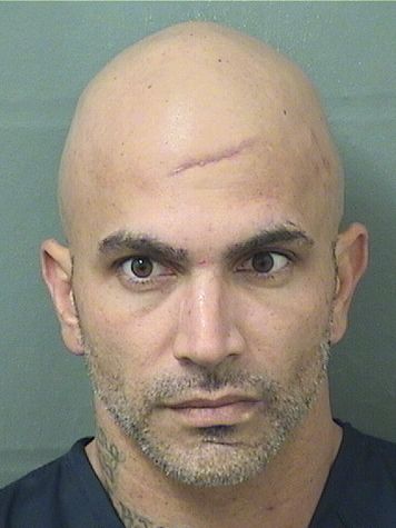  BOBAK BABAPOUR Results from Palm Beach County Florida for  BOBAK BABAPOUR