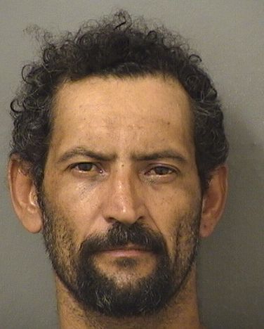  LUIS ANTONIO AVILESRODRIGUEZ Results from Palm Beach County Florida for  LUIS ANTONIO AVILESRODRIGUEZ