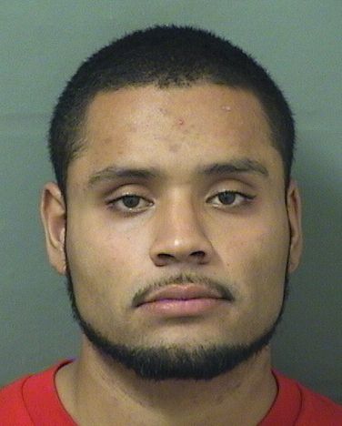  GABRIEL ALBERTO SILES Results from Palm Beach County Florida for  GABRIEL ALBERTO SILES