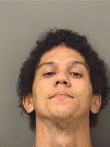  ALEXANDER PATRICK FEARON Results from Palm Beach County Florida for  ALEXANDER PATRICK FEARON